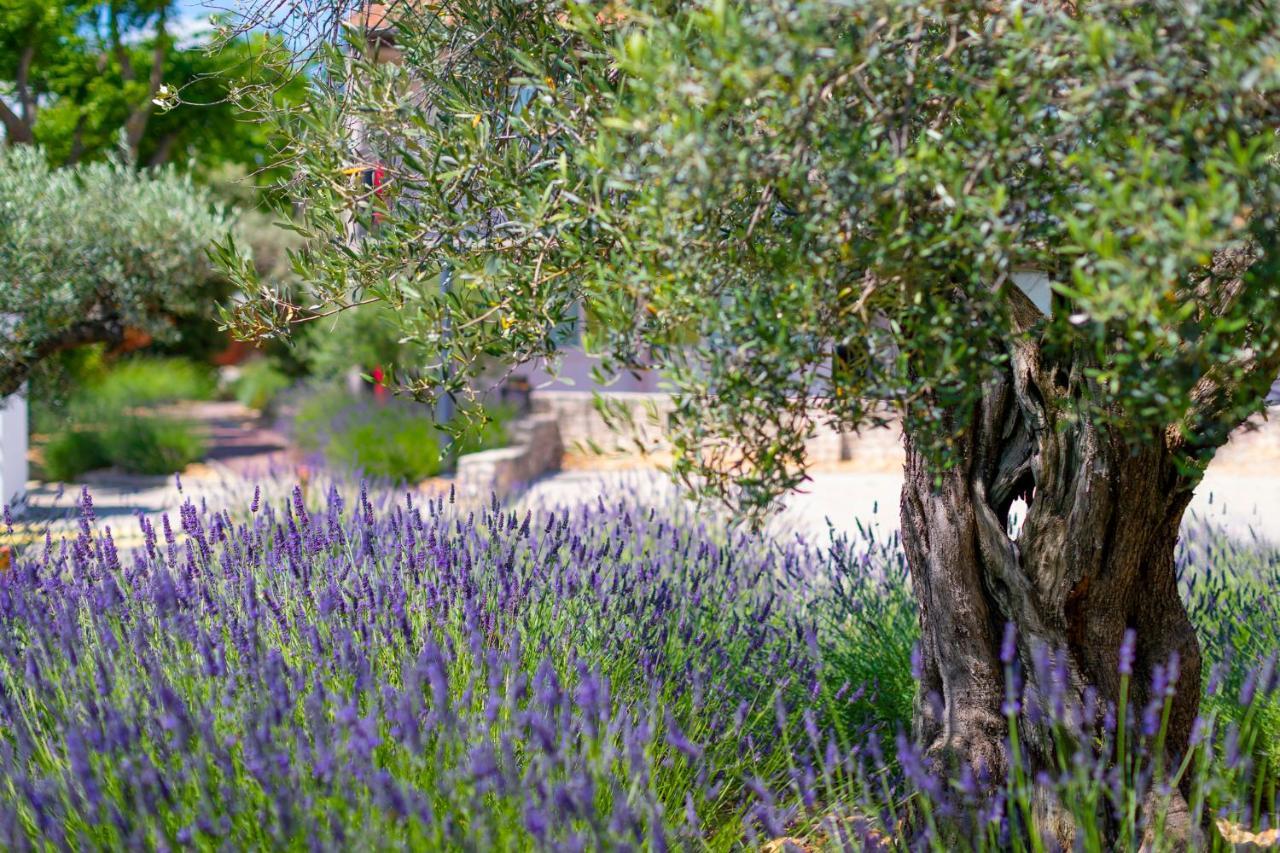 Terre De Provence Hotel & Spa Le Pontet  Exteriör bild